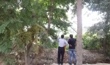 थाना इंदिरापुरम क्षेत्र अंतर्गत ग्रीन बेल्ट में पेड़ पर लटका मिला युवती का शव