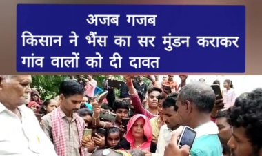 अजब गजब संकल्प!  बैंड बाजे के साथ भैंस का मुंडन कराकर दी गांव वालों को दावत