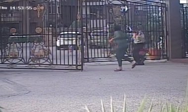 गाजियाबाद में कुत्तों का आतंक इंदिरापुरम इलाके में 11 साल और अकबरपुर बहरामपुर में 1 साल की मासूम बच्ची को बनाया निशाना