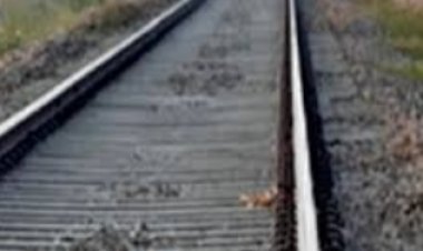 रेलवे ट्रैक पर रील बना रहे एक युवती और दो युवकों की ट्रेन की चपेट में आने से हुई मौत