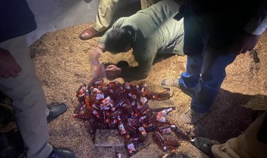 आबकारी विभाग की छापेमारी के दौरान तहखाने में मिला शराब का जखीरा