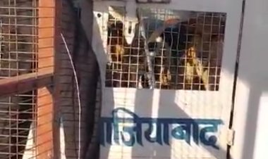 तेजस न्यूज़ :-एक बार फिर राजनगर एक्सटेंशन की रिवर हाइट्स सोसाइटी में बन सकता है स्ट्रीट डॉग का बड़ा मुद्दा