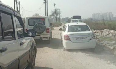 तेजस न्यूज: पुलिस चौकी के नजदीक 5 गायों के शव हुए बरामद, पुलिस जांच में जुटी