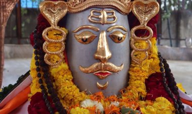 तेजस न्यूज : अमेरिका में रहने वाली नव सनातनी सुप्रसिद्ध चिकित्सक ने शिवशक्ति धाम डासना के पारदेश्वर महादेव को करीब 25 लाख रुपये के शुद्ध सोने का मुकुट और श्रृंगार भेंट किया।