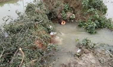 गेहूं की फसल  नष्ट, डगरपुर के तीन दबंगों पर लगा आरोप