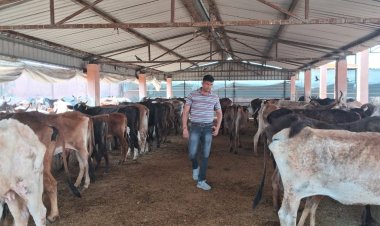 गौशाला का औचक निरिक्षण पायी गईं कई खामी