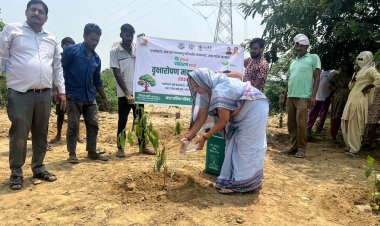 नगर पालिका चेयरपर्सन ने किया पौधारोपण