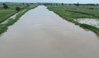हिंड़न नदी का बढा जलस्तर, फसलें जलमग्न