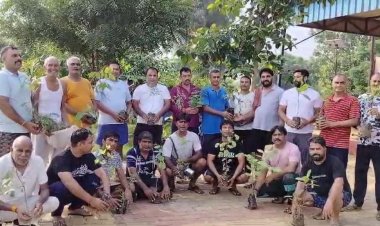 डगरपुर में रक्षाबंधन पर मना एक पेड बहन के नाम कार्यक्रम