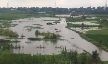 हिंडन नदी का जलस्तर बढने से खेत हुए जलमग्न