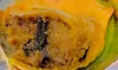 समोसे में निकली मेंढक की टांग