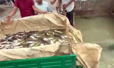 दशलक्षण पर्व पर प्रतिबंध के बावजूद मछली बेचते धरे गए