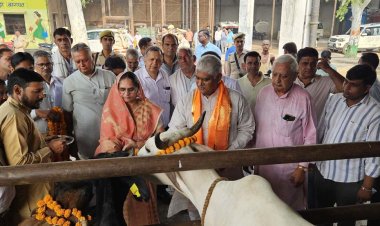 प्रभारी मंत्री जसवंत सिंह सैनी ने की गाय पूजा
