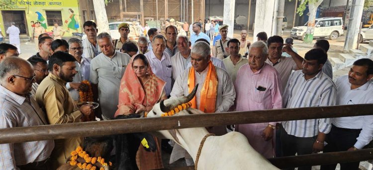 प्रभारी मंत्री जसवंत सिंह सैनी ने की गाय पूजा