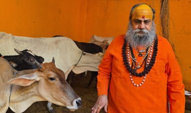 2 नवम्बर को ही गोवर्धन पूजा का शुभ मुहूर्त : महंत नारायण गिरी