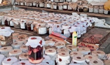 बिसरा रिपोर्ट तय करेगी बालक की रिपोर्ट का कारण