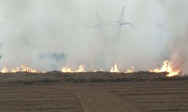 प्रशासन की अनदेखी से बडा़गांव के किसान ने जलाई पराली