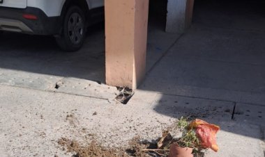 बालकनी में रखा गमला गिरा बाल बाल बचे बुजुर्ग