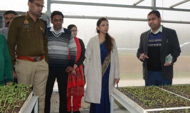 बोली जिलाधिकारी, किसानों को उन्नत पौध उपलब्ध कराए कृषि वैज्ञानिक