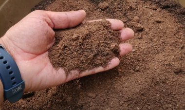 खेत से मिट्टी हटाने की अनुमति के लिए किसान ने जिलाधिकारी को दिया प्रार्थनापत्र