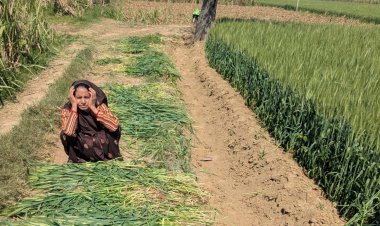 महिला ने फसल नष्ट करने का लगाया आरोप