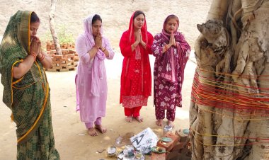 वट अमावस्या पर महिलाओं ने की वट वृक्ष की पूजा