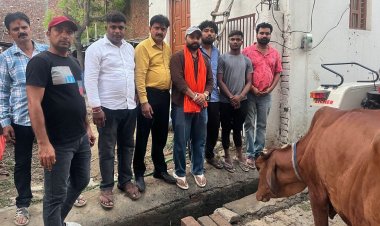 भूख से तड़प रही 11 गायों को कराया गया मुक्त