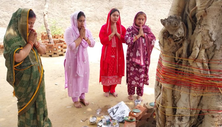 वट अमावस्या पर महिलाओं ने की वट वृक्ष की पूजा