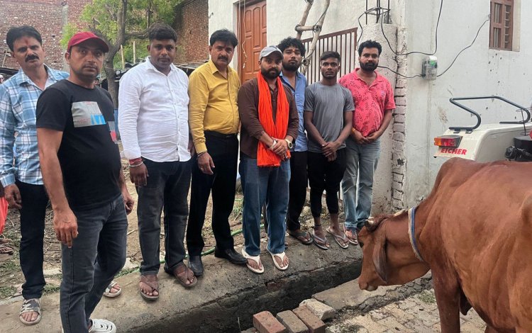 भूख से तड़प रही 11 गायों को कराया गया मुक्त