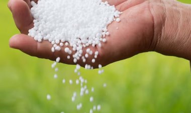 बोले कृषि अधिकारी, जनपद में यूरिया पर्याप्त मात्रा में उपलब्ध