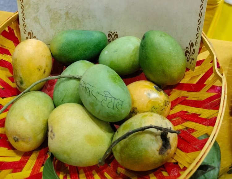 दिल्ली आम महोत्सव में रटौल के आम की धूम