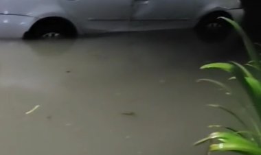 गाजियाबाद में बारिश बनी आफत, प्रताप विहार के पॉश इलाके में घरों तक पहुंचा पानी, लोगों में रोष नगर निगम और क्षेत्रीय पार्षद की कार्यशैली पर उठे सवाल, करीब 30 वर्षों से नहीं बनी बरसाती नाली