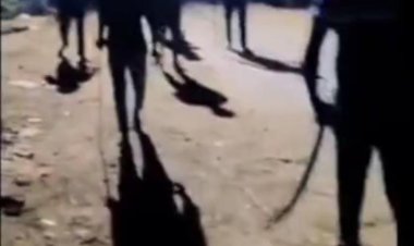 सोशल मीडिया पर वायरल वीडियो से फैली दहशत