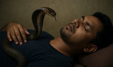 सोते समय कोबरा ने श्रमिक को डसा, हालत गंभीर