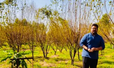 नोएडा में यूपी इंटरनेशनल ट्रेड शो में सहभागिता करेगा बड़ागांव का श्रीदेश ऑर्गेनिक फार्म