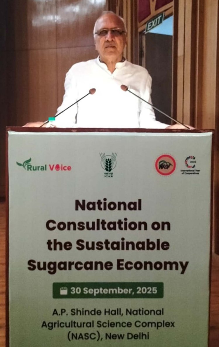 दिल्ली में गन्ना समीक्षा बैठक में बागपत के प्रतिनिधियों ने रखे सुझाव