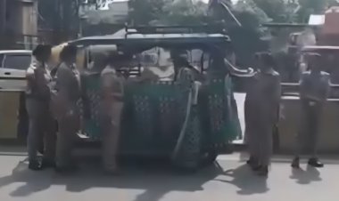 ई-रिक्शा पर हुआ प्रसव, महिला थाना प्रभारी ने संभाली डिलीवरी