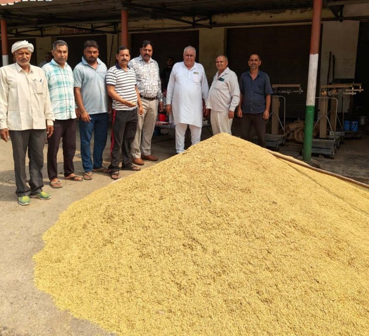 खेकड़ा कृषि उत्पादन मंडी में धान की खरीद शुरू