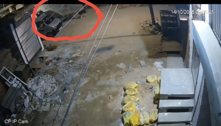 स्वाद के लिए अनोखी चोरी : चोरों ने बकरा किया चोरी,सीसीटीवी में घटना कैद