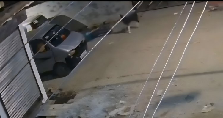 एफआईआर के लिए ‘खर्चा’ मांगने वाले एसएचओ पर उठे सवाल — विजयनगर थाने में बकरा चोरी की रिपोर्ट दर्ज न होने से अधिवक्ता नाराज