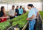 जिलाधिकारी ने हाई-टेक नर्सरी का किया निरीक्षण