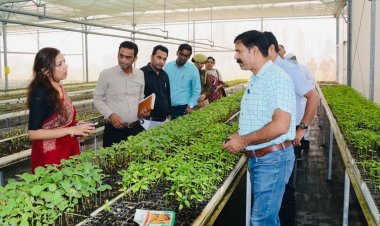 जिलाधिकारी ने हाई-टेक नर्सरी का किया निरीक्षण