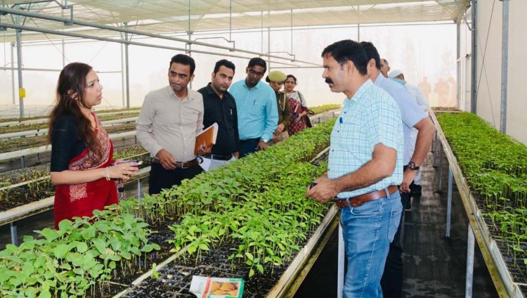 जिलाधिकारी ने हाई-टेक नर्सरी का किया निरीक्षण