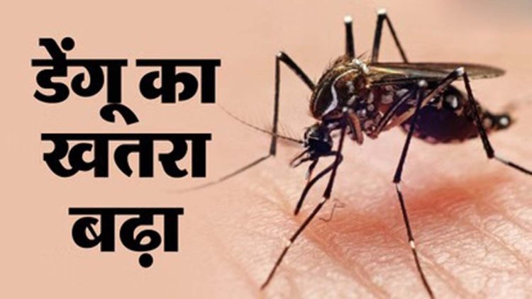 रटौल में बुखार से विवाहिता की मौत, दर्जनों लोग बीमार