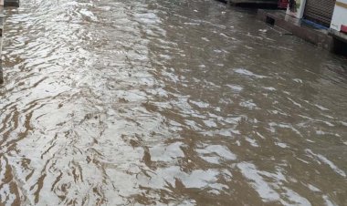 खेकड़ा में बारिश–ओलावृष्टि ने मचाई तबाही, सब्जी की फसलें चौपट