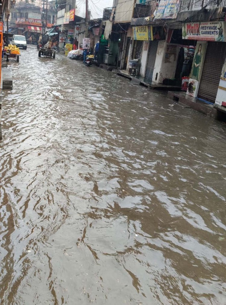 खेकड़ा में बारिश–ओलावृष्टि ने मचाई तबाही, सब्जी की फसलें चौपट