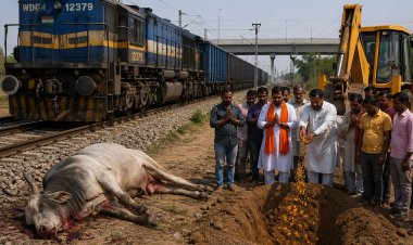 मालगाड़ी की चपेट में आकर घूमंतू सांड की मौत, विधि-विधान से किया गया अंतिम संस्कार