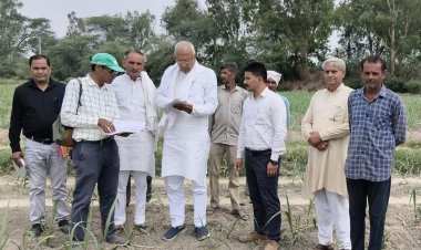 गन्ना सर्वे की पारदर्शिता को परखा, उपसभापति ने खेतों में पहुंचकर किया निरीक्षण