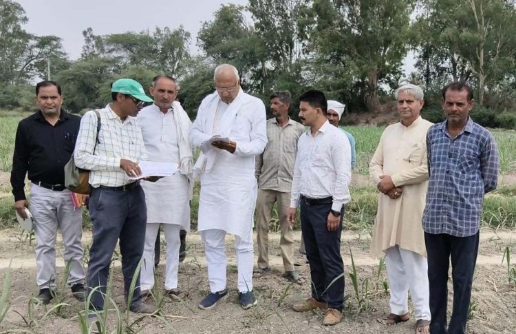 गन्ना सर्वे की पारदर्शिता को परखा, उपसभापति ने खेतों में पहुंचकर किया निरीक्षण