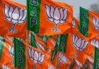 भाजपा ने किया जिला कार्यकर्ता सम्मेलन का आयोजन